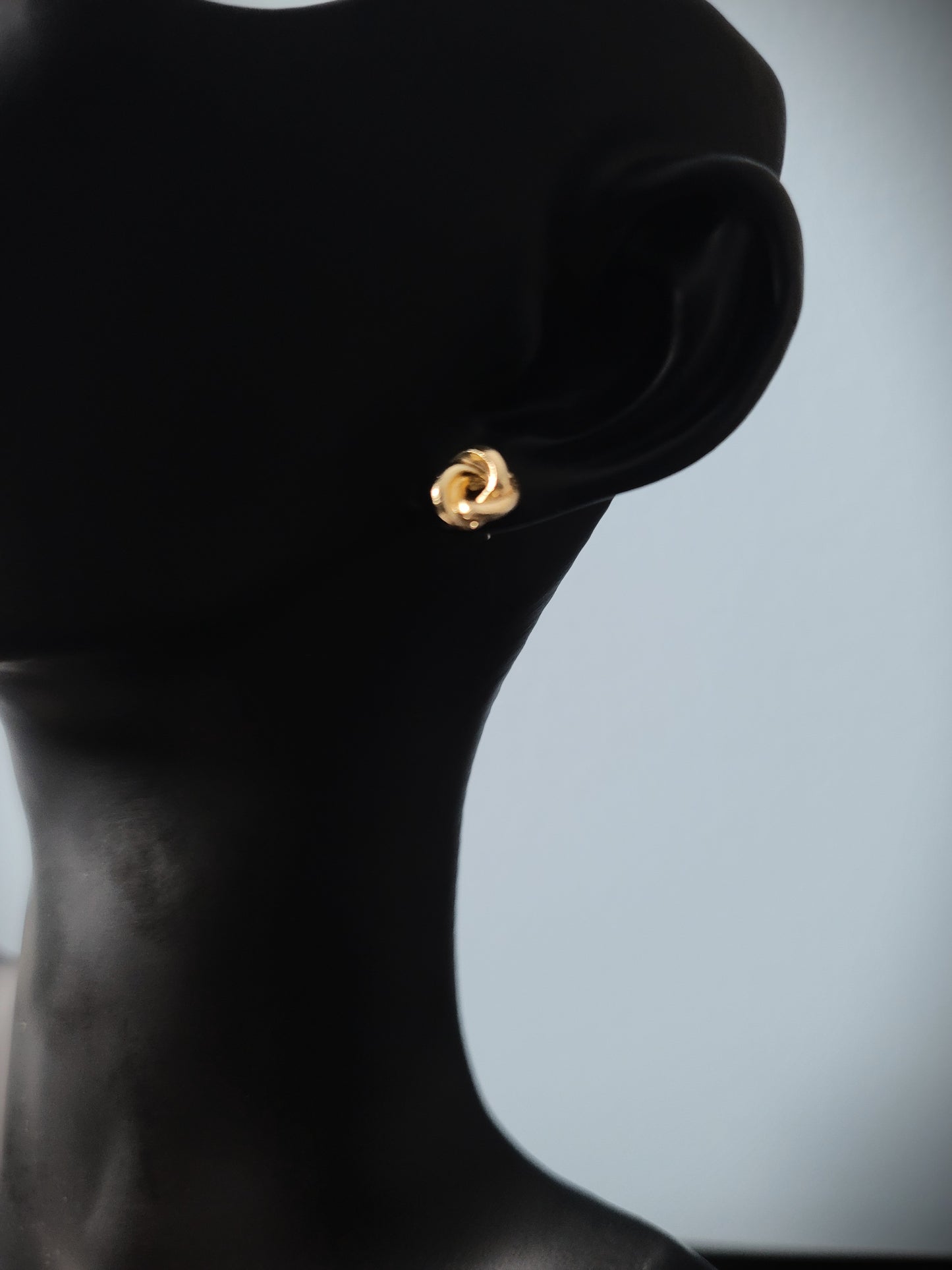 Surrounded by Peace Elegant Stud Earrings