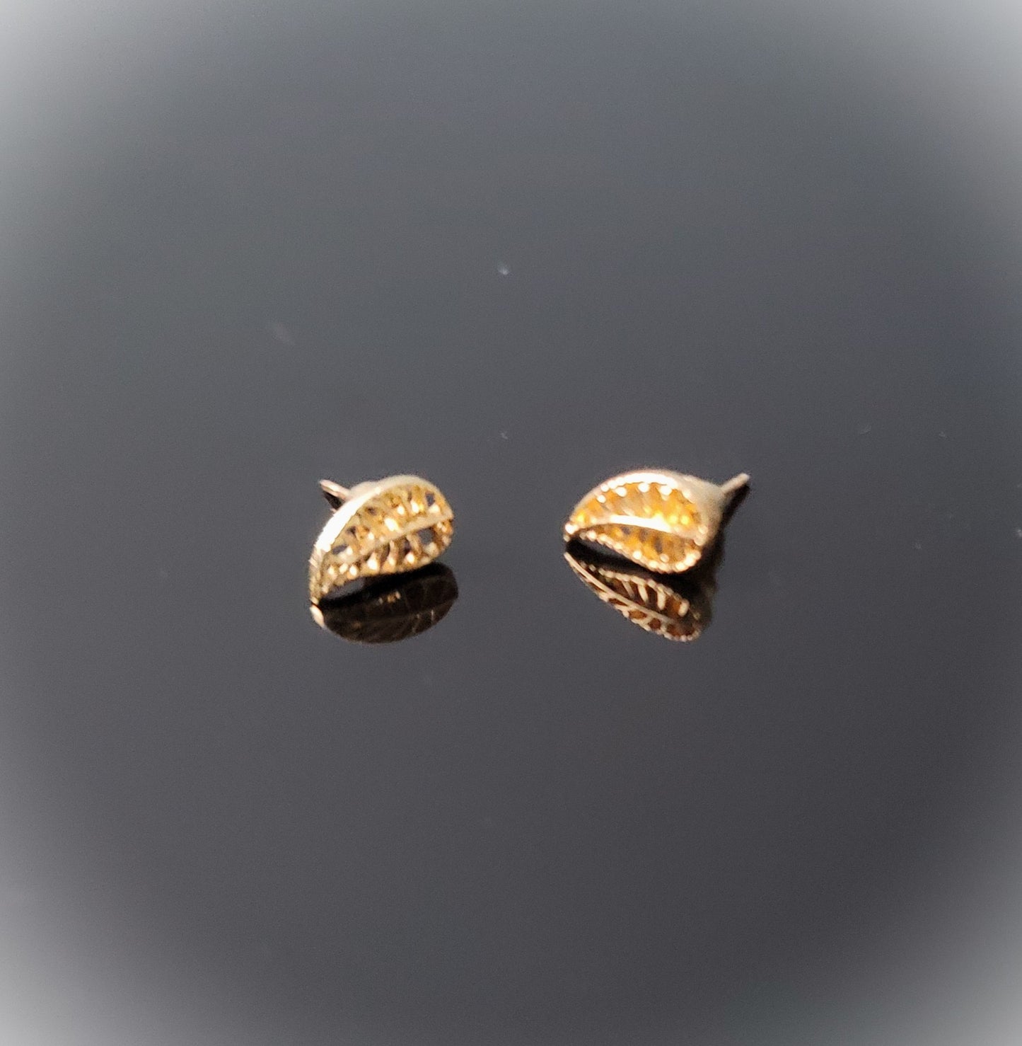 Leaf of Hope Elegant Stud Earrings
