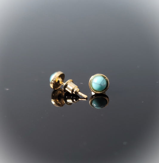 The Turquoise Gem Elegant Stud Earring
