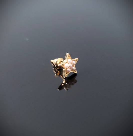 The Star of Pearl Stud Elegant Earrings
