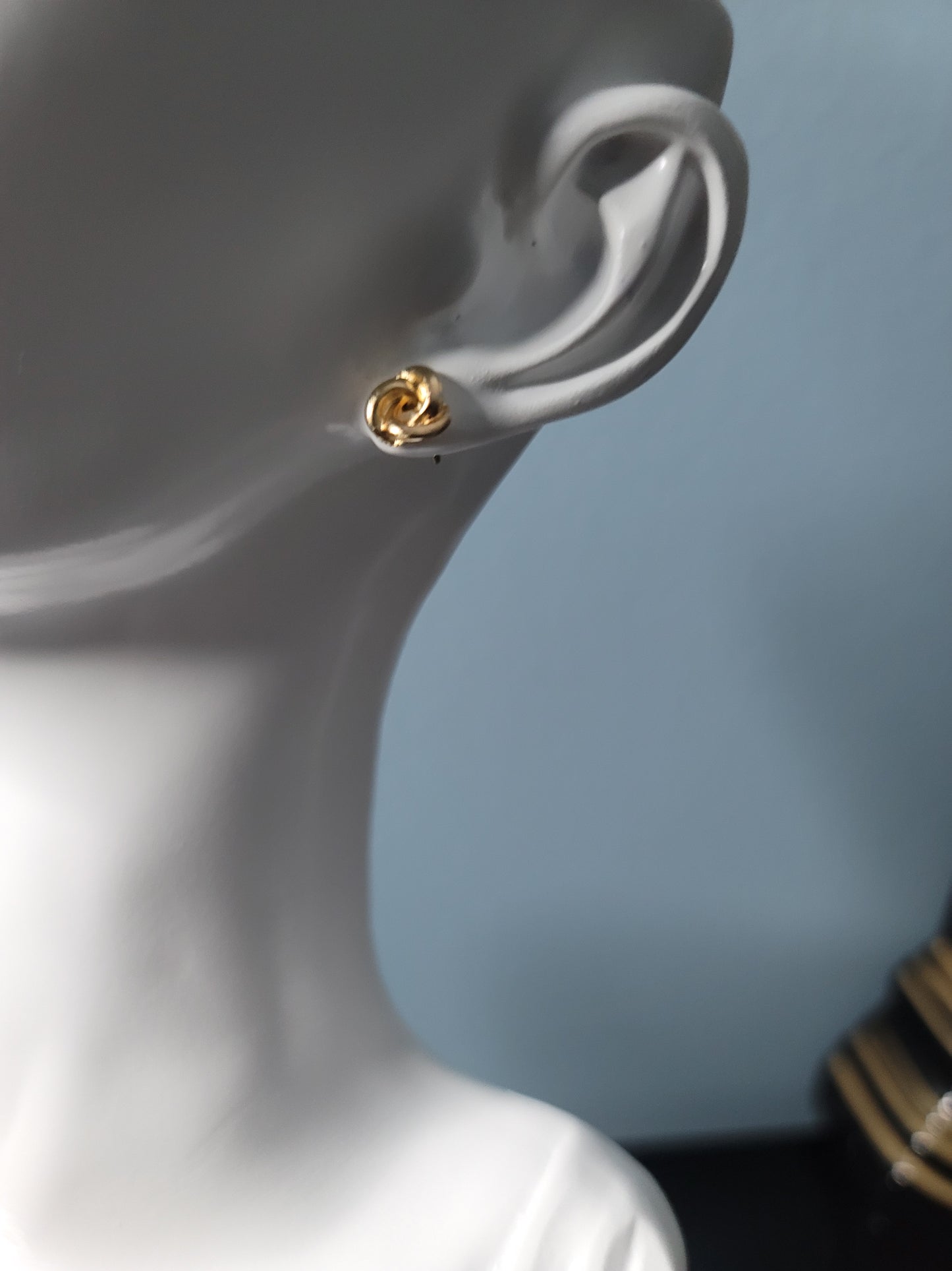 Surrounded by Peace Elegant Stud Earrings